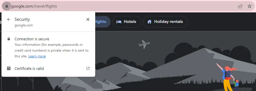 Google Flights HTTPS protocol screenshot
